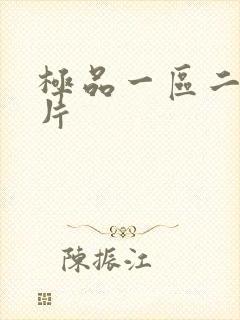 极品一区二区毛片封面