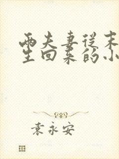 两夫妻从末世重生回来的小说