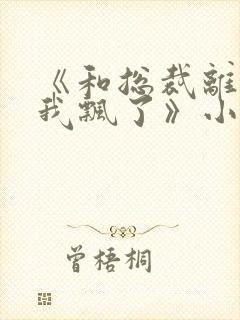 《和总裁离婚后我飘了》小说