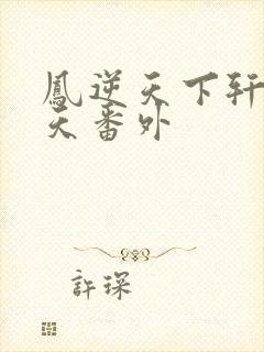 凤逆天下轩辕问天番外