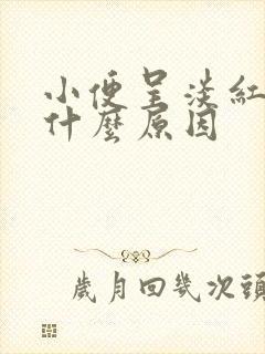 小便呈淡红色是什么原因