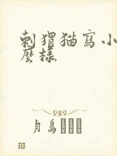 刺猬猫写小说怎么样封面