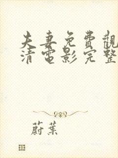 夫妻免费观看高清电影完整版