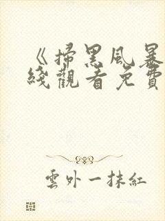 《扫黑风暴》在线观看免费