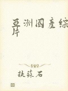 亚洲国产综合毛片封面