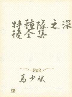 特种队之深入敌后全集封面