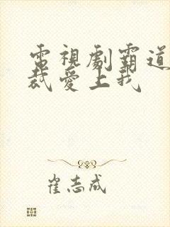 电视剧霸道女总裁爱上我封面