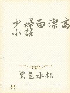 少妇白洁高义的小说