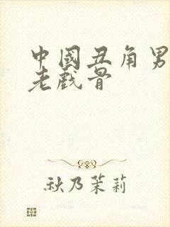 中国丑角男演员老戏骨封面