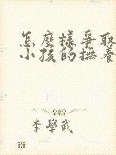 怎么样争取一个小孩的抚养权封面