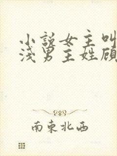 小说女主叫苏浅浅男主姓顾