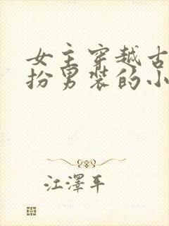 女主穿越古代女扮男装的小说