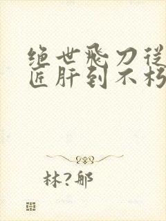 绝世飞刀从打铁匠肝到不朽神帝