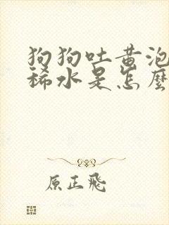 狗狗吐黄泡沫拉稀水是怎么回事封面