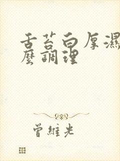 舌苔白厚湿热怎么调理