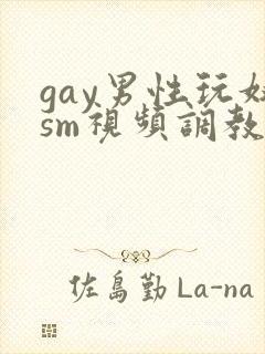 gay男性玩奴sm视频调教