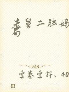 老舅二胖妈妈结局