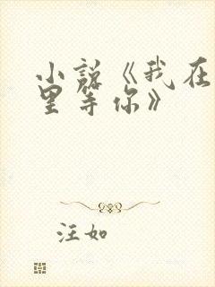 小说《我在回忆里等你》