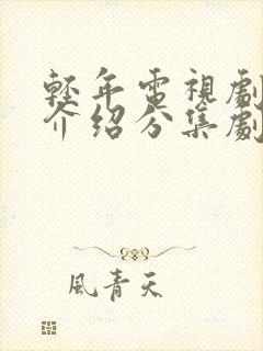 轻年电视剧剧情介绍分集剧情