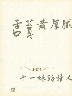 舌苔黄厚腻口苦口臭