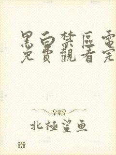 黑白禁区电视剧免费观看完整版全集