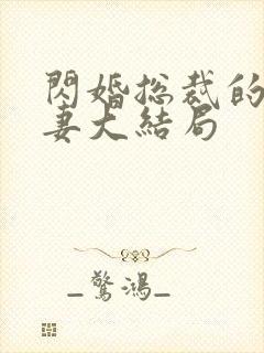 闪婚总裁的契约妻大结局