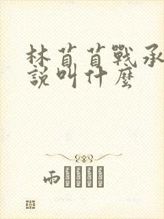 林苜苜战承胤小说叫什么封面