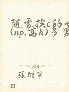 随处挨c的世界(np,高h)多男一受多攻