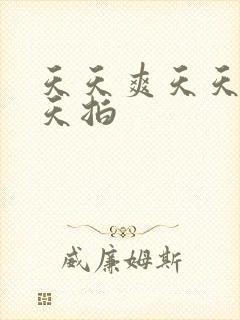 天天爽天天操天天拍