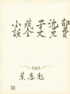 小疯子沈郁白小说全文免费阅读