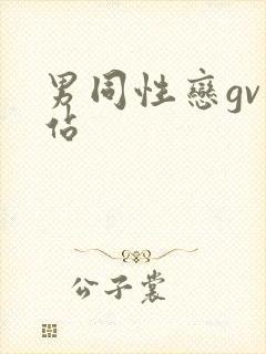 男同性恋gv网站
