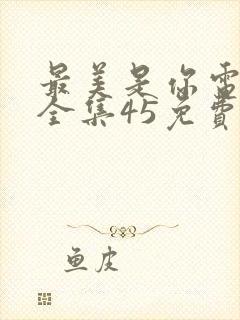 最美是你电视剧全集45免费观看封面