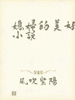 媳妇的美好时代小说