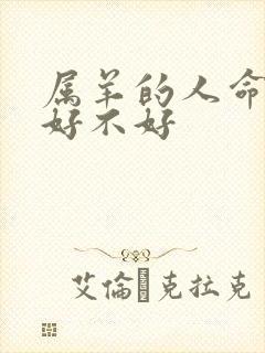 属羊的人命到底好不好