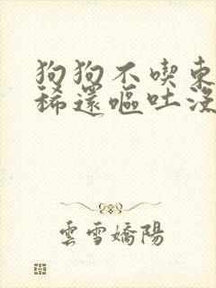 狗狗不吃东西拉稀还呕吐没精神怎么办