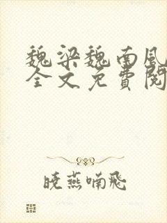 魏梁魏南风po全文免费阅读笔趣阁