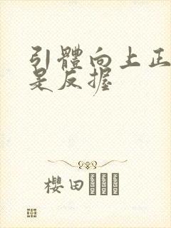 引体向上正握还是反握