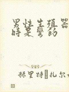 男性生殖器勃起时是弯的封面