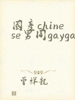 国产chinese男同gaygay网站封面