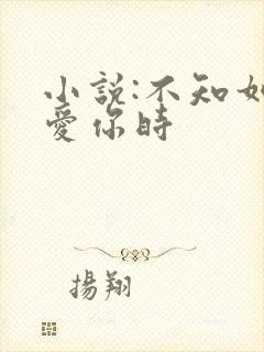 小说:不知如何爱你时封面
