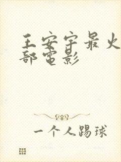 王安宇最火的三部电影