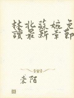 林北苏婉免费阅读最新章节冫