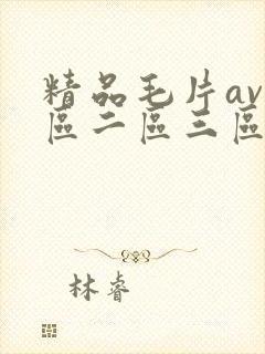 精品毛片av一区二区三区