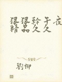 狠狠干午夜婷婷精品久久