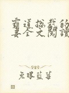 霸道总裁的小娇妻全文阅读