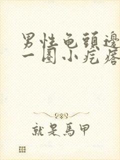 男性龟头边缘有一圈小疙瘩