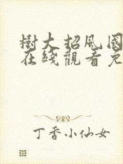 树大招风国语版在线观看免费