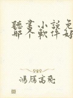 听书小说免费听哪个软件好封面