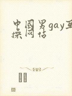 中国男gay互操网站