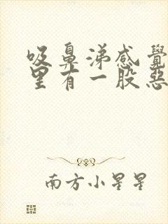 吸鼻涕感觉鼻腔里有一股恶臭味道封面